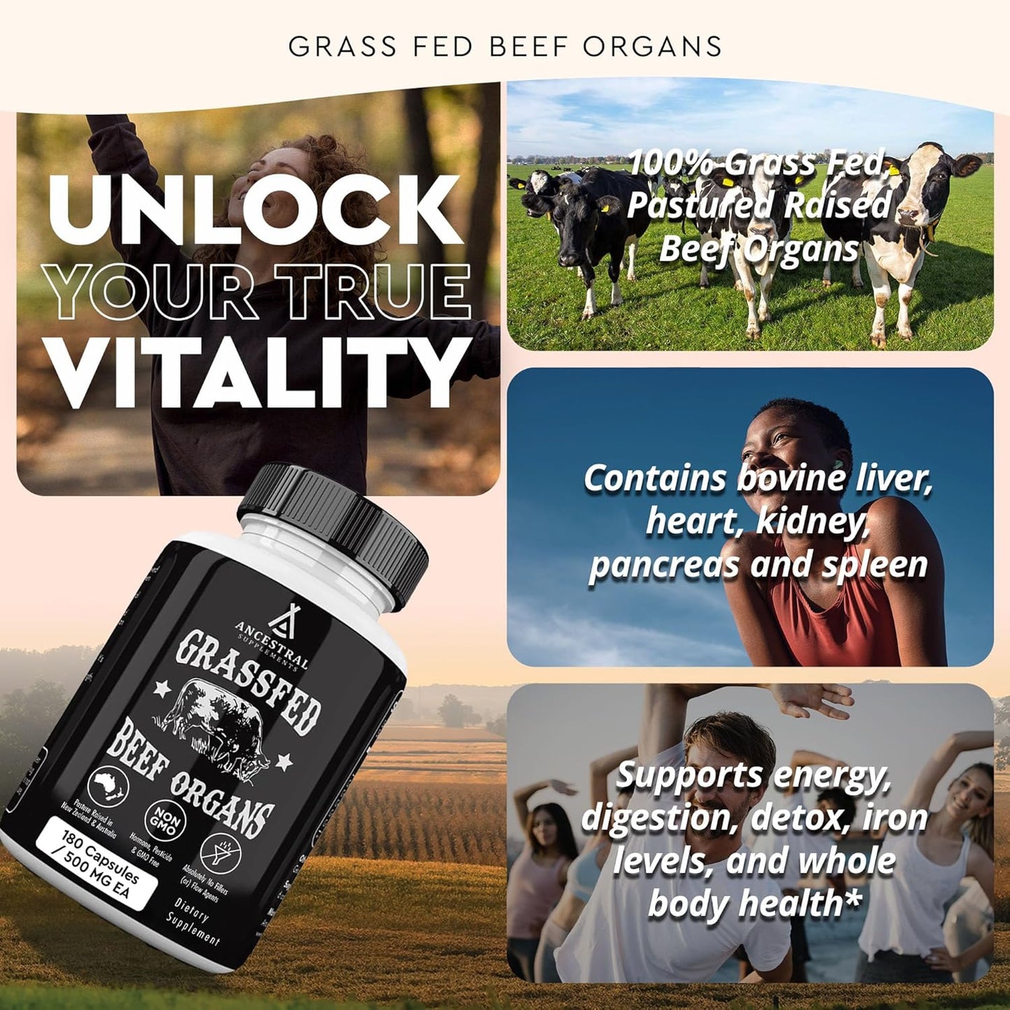 Ancestral Supplements Suplemento de órgano de res alimentado con pasto, apoya el bienestar de todo el cuerpo con una mezcla patentada de hígado, corazón, riñón, páncreas, bazo, carne de res liofilizada, sin OMG, 180 cápsulas