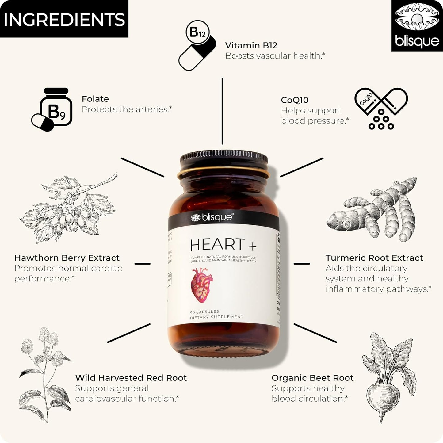 Blisque Corazón +proporciona apoyo a la presión arterial al mejorar el flujo sanguíneo y mejorar la salud de los vasos sanguíneos, dejándote fresco y energizado.
